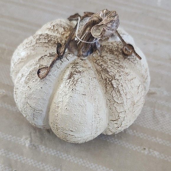 TAG Rustic Cream Pumpkin Decor - Picture 2 of 6